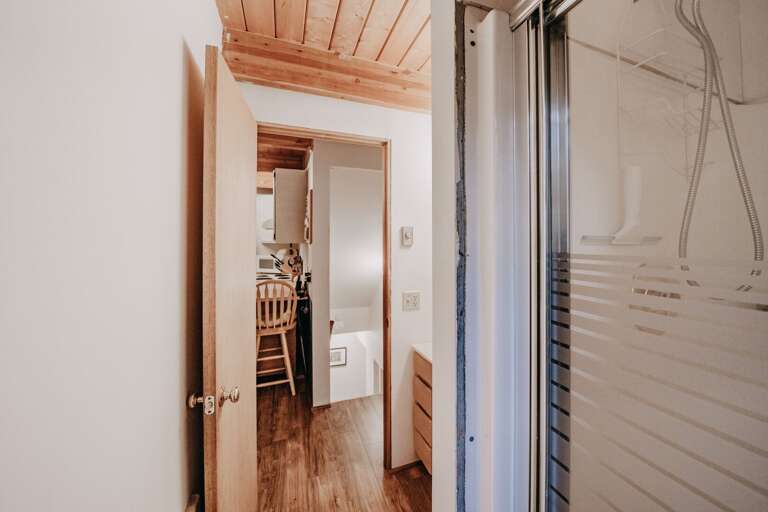 Shower in the main floor bath