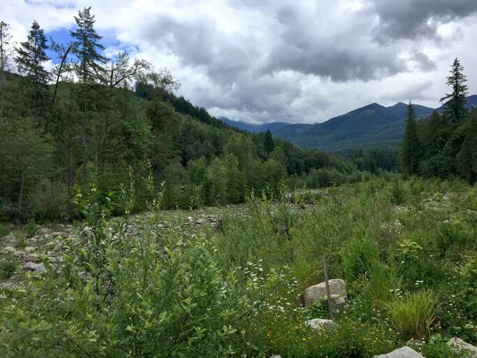 Glacier Springs beautiful nature scenic views.