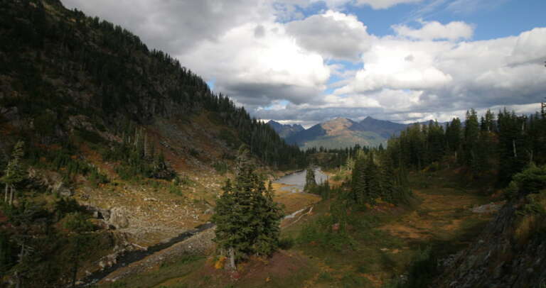 Mt.Baker-Snoqualmie National Forest