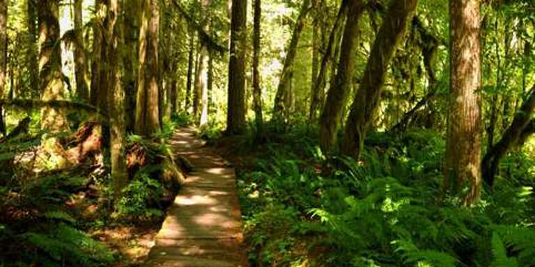 Mt.Baker-Snoqualmie National Forest