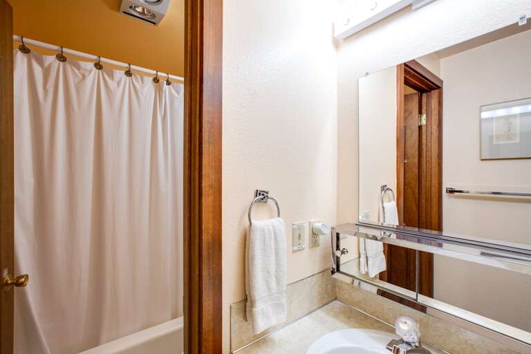 Downstairs bathroom with shower and tub