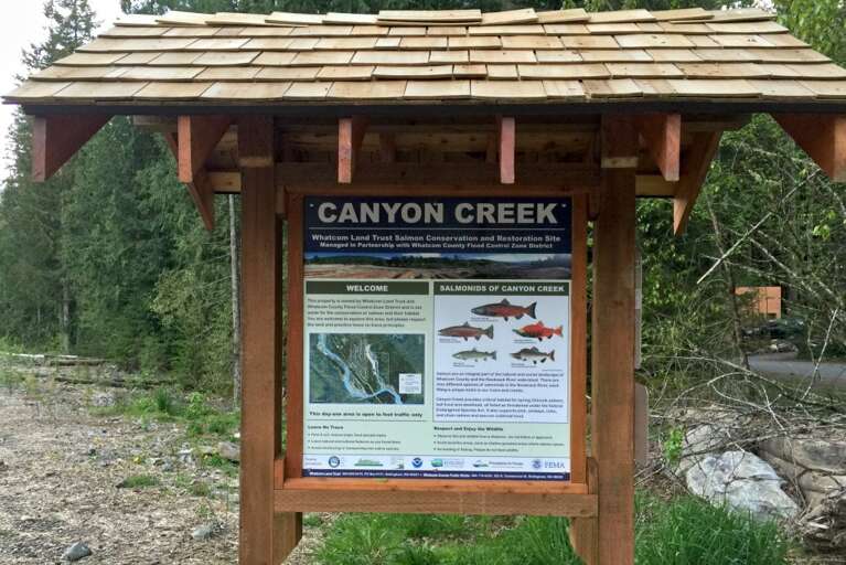 Sign of the different habitat that run through Canyon Creek. Sign of the different habitat that run through Canyon Creek.