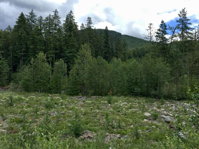 Glacier Springs beautiful nature scenic views.