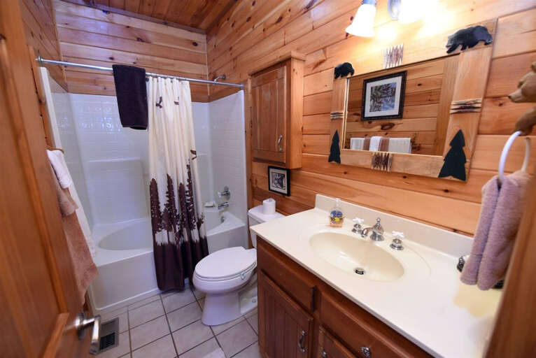 Dream Catcher- Blue Ridge cabin rental