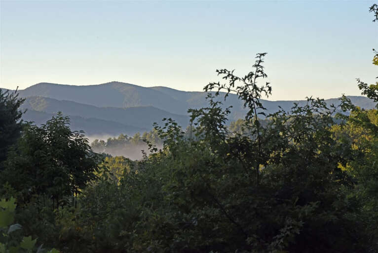 Blue Ridge Cabin Rental- Denali