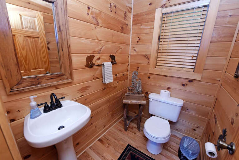 All About The Views- Blue Ridge GA- half bathroom