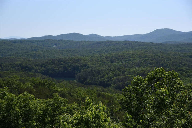 All About The Views- Blue Ridge GA-long range mountain view