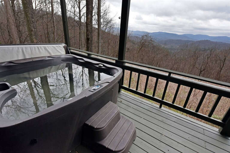 Over The Moon-Blairsville cabin rentals
