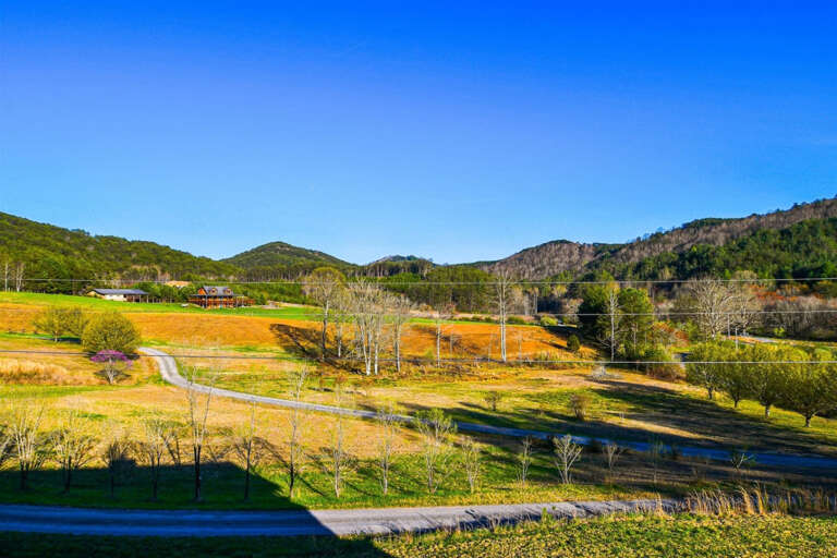 Ocoee river area cabin rental- View