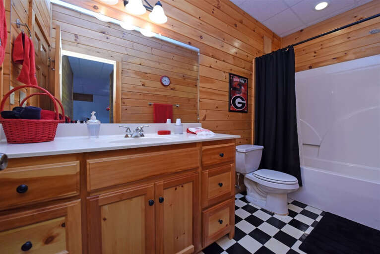 Point of View - Blue Ridge GA- Lower level Bathroom