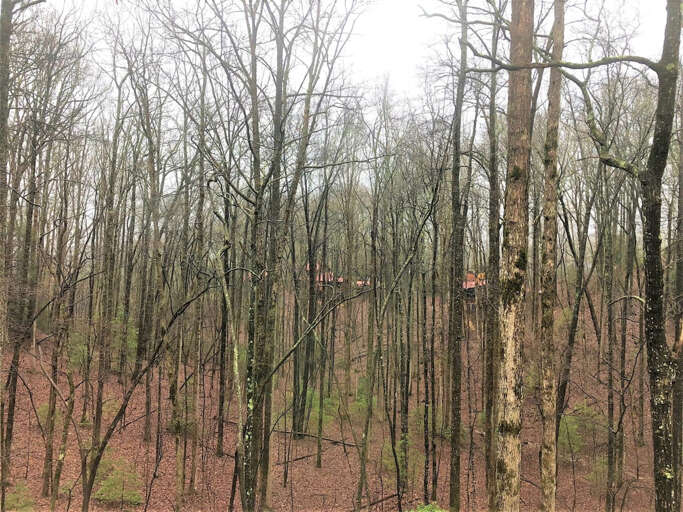 Little Bushy Head- Blue Ridge cabin rentals