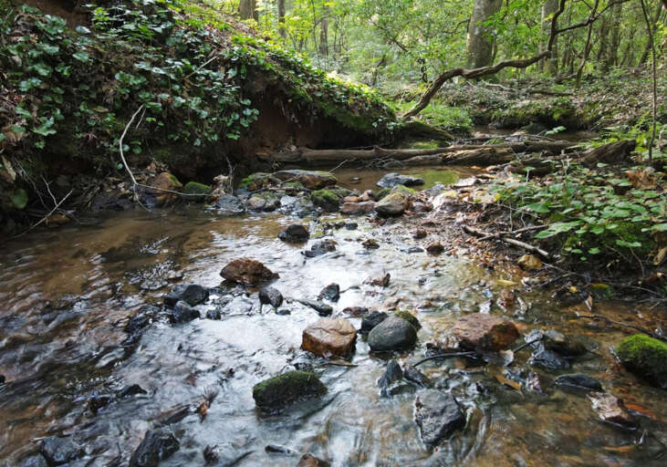 Laurel Creek Cabin Rental- Blue Ridge Outside area