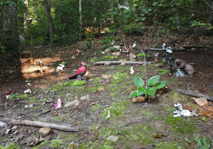Laurel Creek Cabin Rental- Blue Ridge Outside area