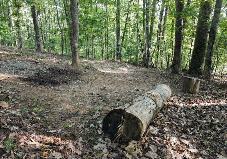 Poplar Ridge Retreat-Blairsville Exterior