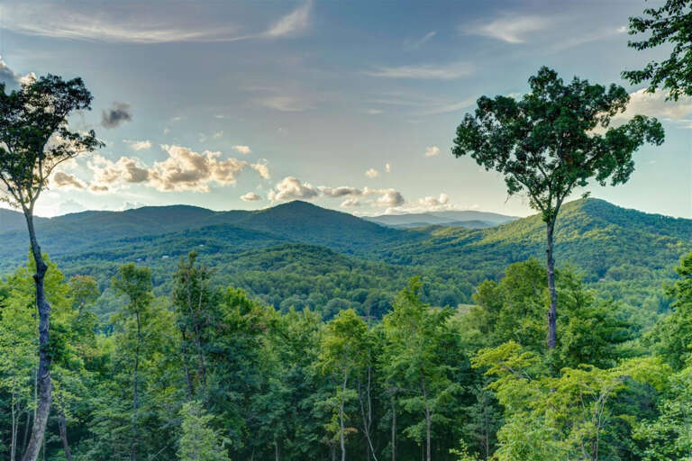 High Ridge Lodge- Epworth GA