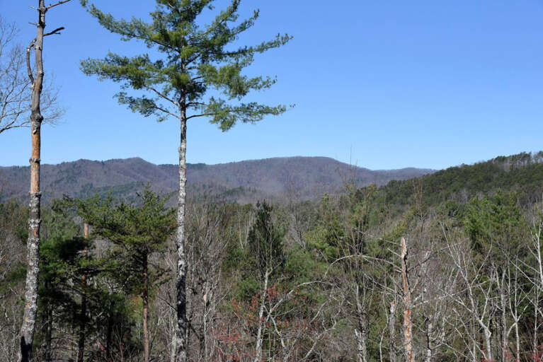 Long range mountain view