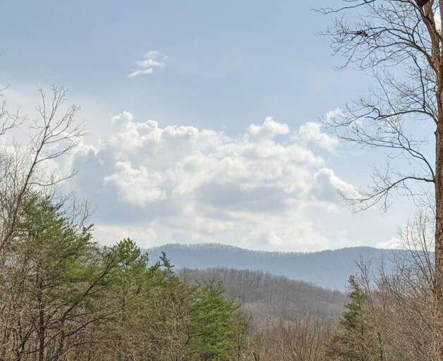 Altitude Adjustment view