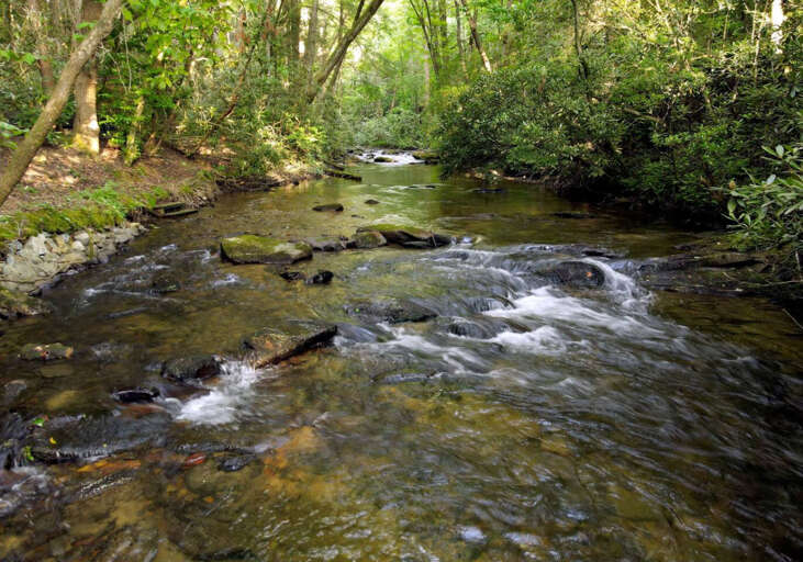 Riverbend Den- Creekfront cabin rental