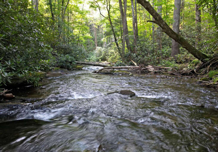Riverbend Den- Creekfront cabin rental