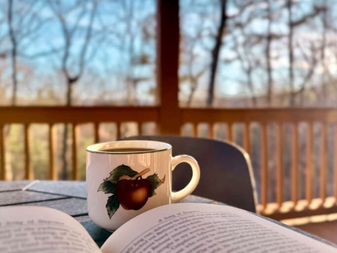 The Tree House- Morganton GA