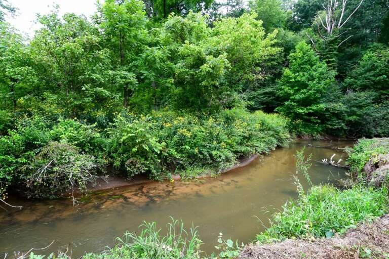 Caney Creek- Ocoee River Cabin Rentals