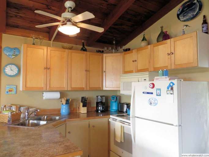 Find Rentals Find Rentals