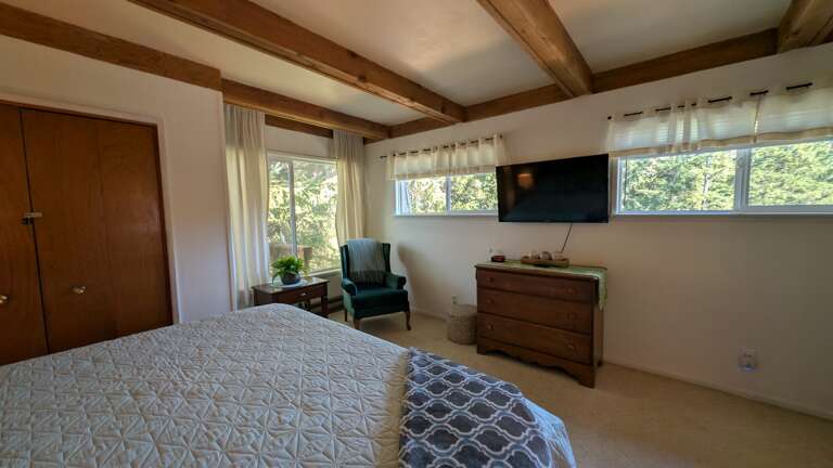 primary king bedroom with TV