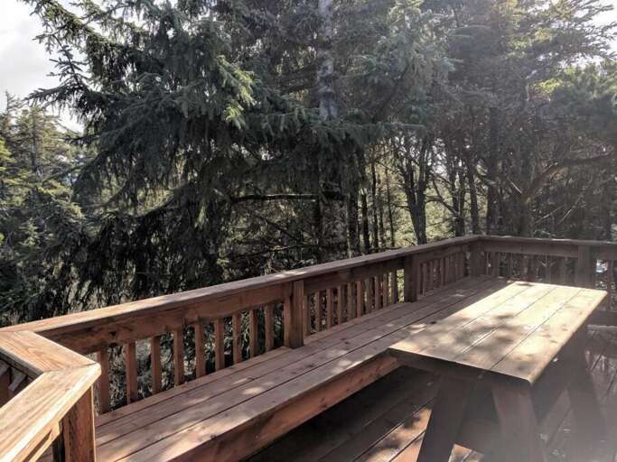 Back Deck off  family room