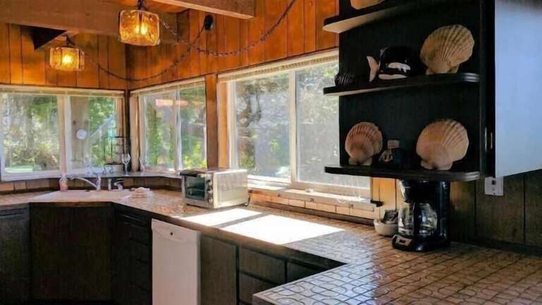 Dishwasher &amp; Toaster Oven