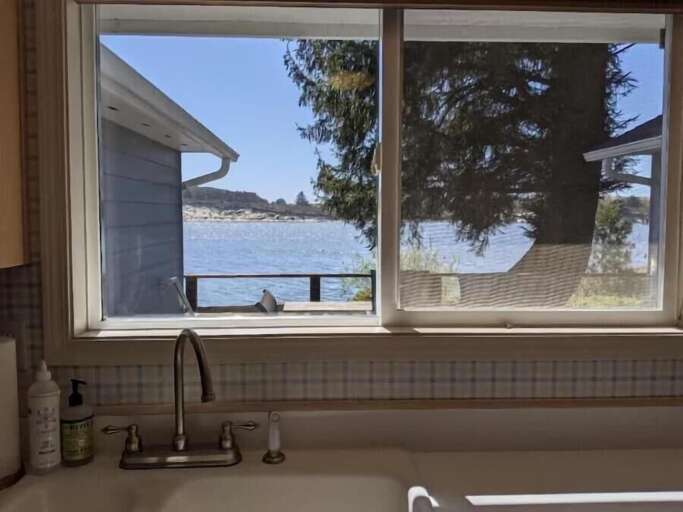 view from the kitchen sink