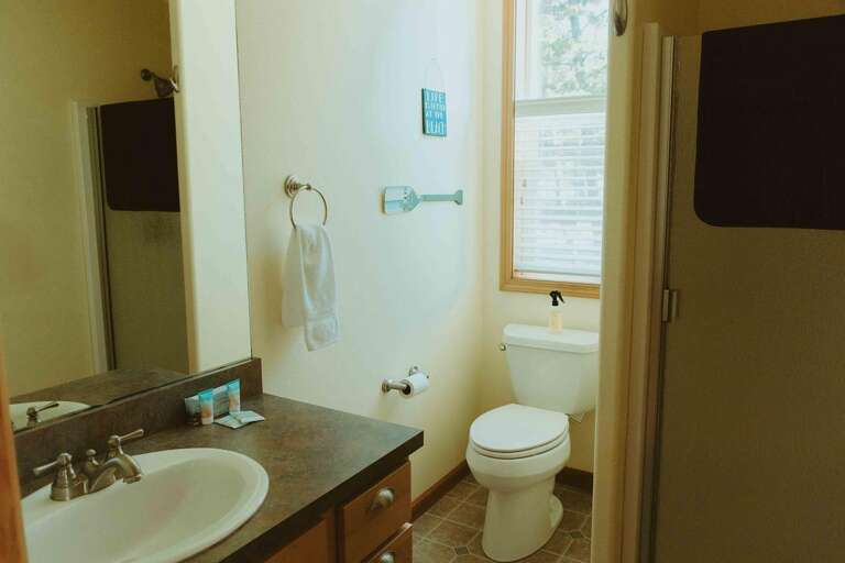 downstairs bath - shower