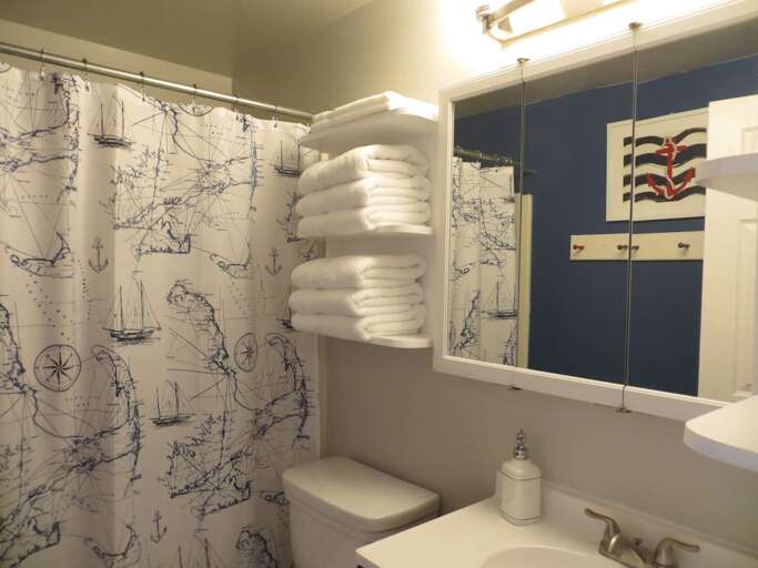 main bath shower/tub combo