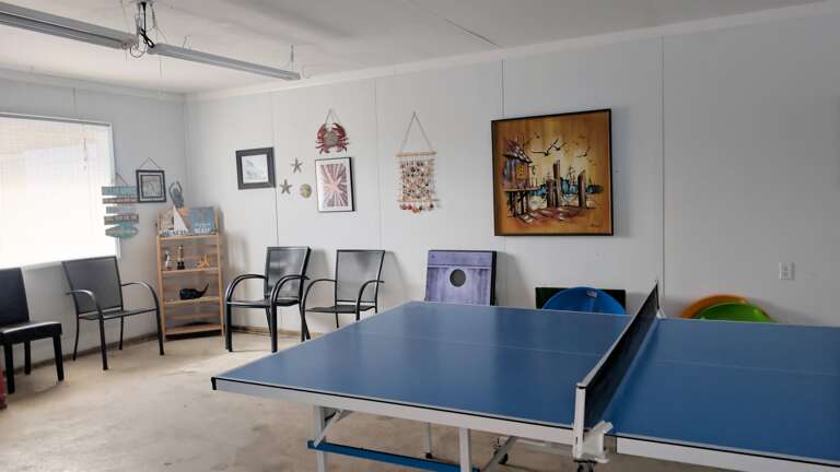 Table Tennis in garage