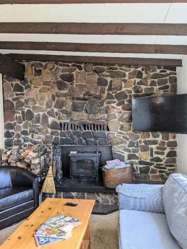 wood stove insert wood provided