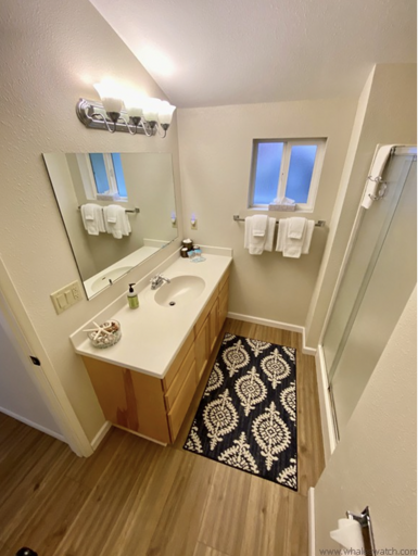 primary ensuite bathroom