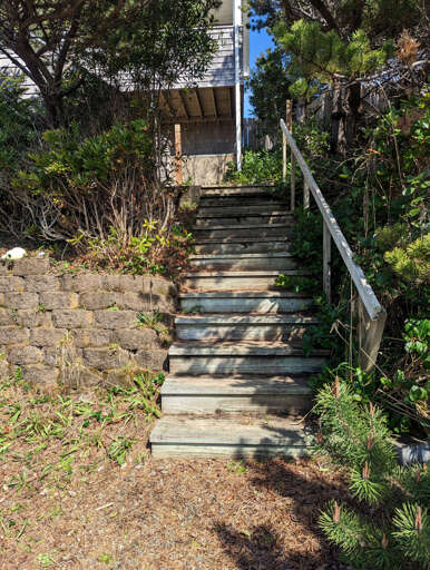 the 3 flights of stairs into the house
