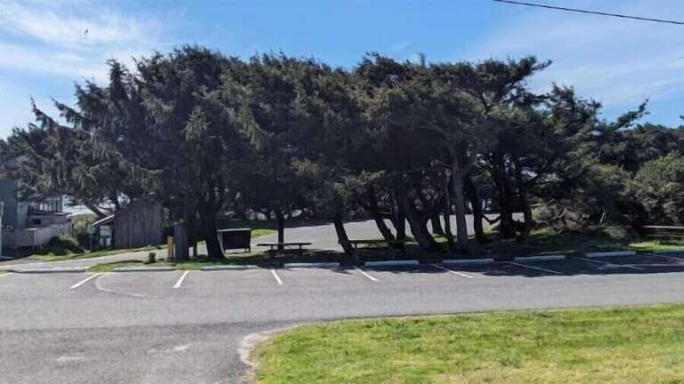 county park across the one lane street