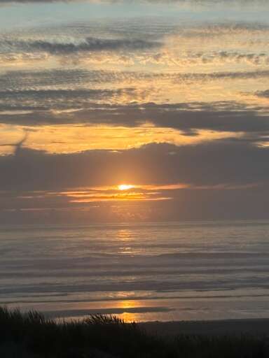 Anne F., Aug 20, 2025