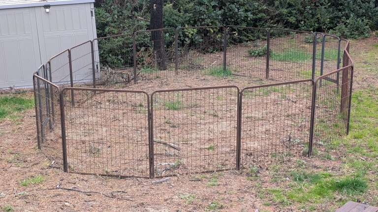 dog enclosure