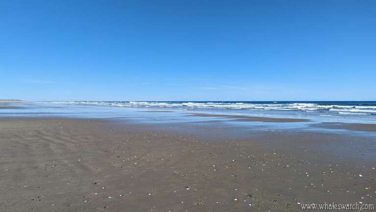 Heceta Beach looking south