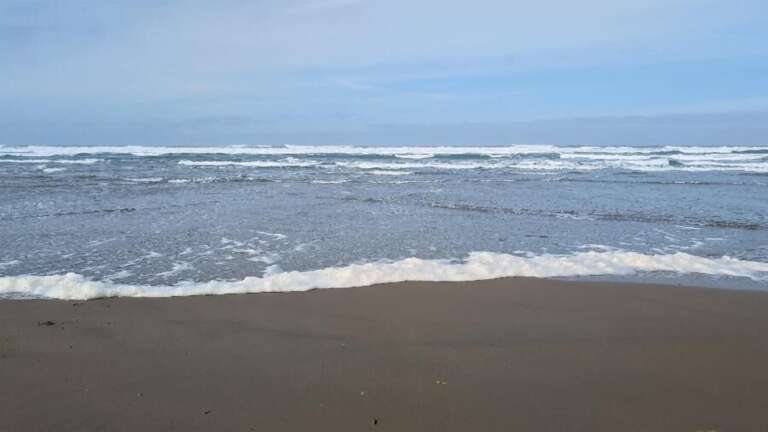 Heceta Beach looking West