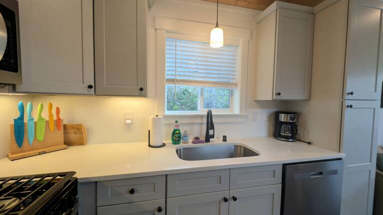 Kitchen sink and dishwasher