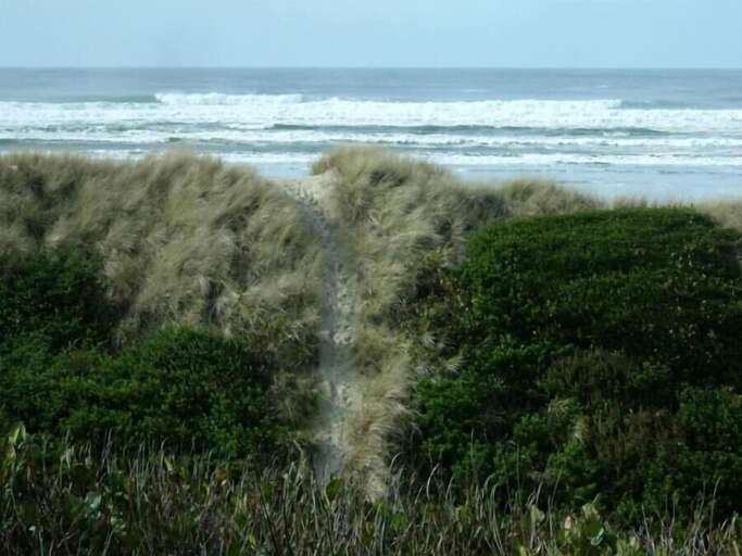 path over dune to beach