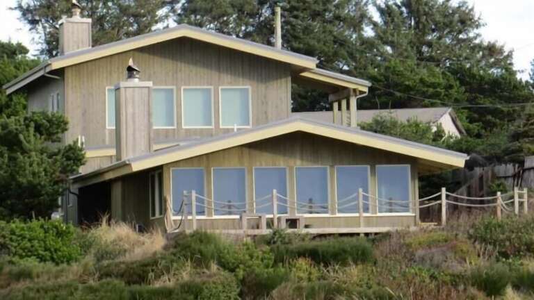 Seaweed from the Dune