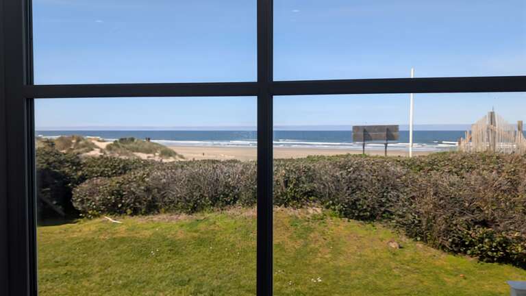 Living Room View