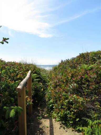 path to beach
