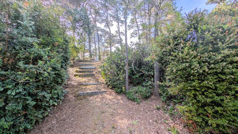 a bench to sit quietly on and read a book