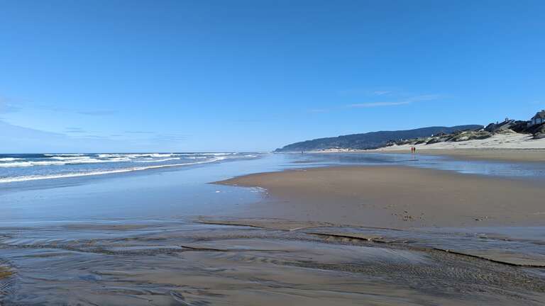 Heceta Beach looking North