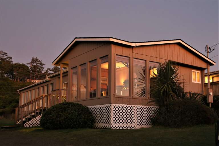 Sea Lion Surf at Dusk