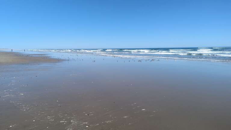 Heceta Beach looking South
